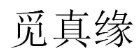 觅真缘 
